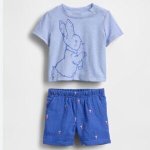 NWT Baby Gap Boys Peter Rabbit Tee Shorts Outfit 2PC Set 3-6M